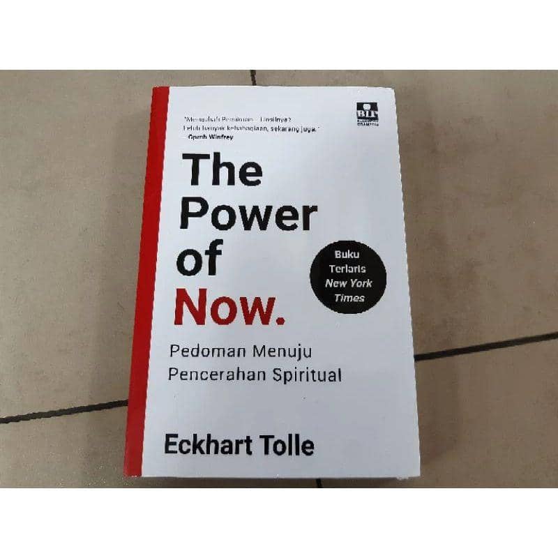 Ilustrasi buku The Power of Now (shopee.co.id/pusatkomik)