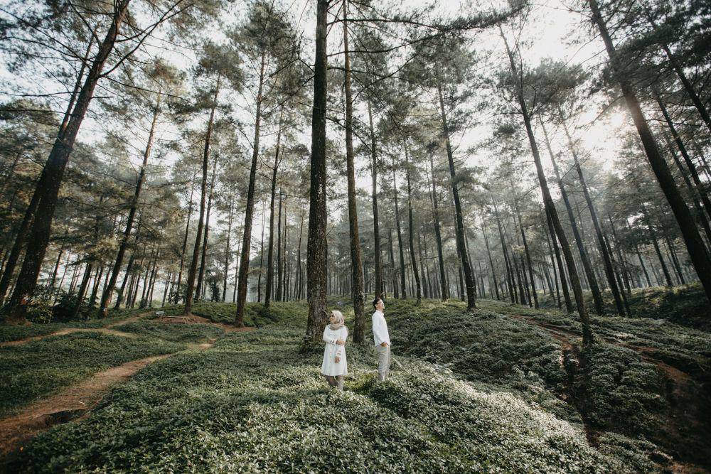 prewedding di tengah hutan (unsplash.com/Fahmi Ramadhan)