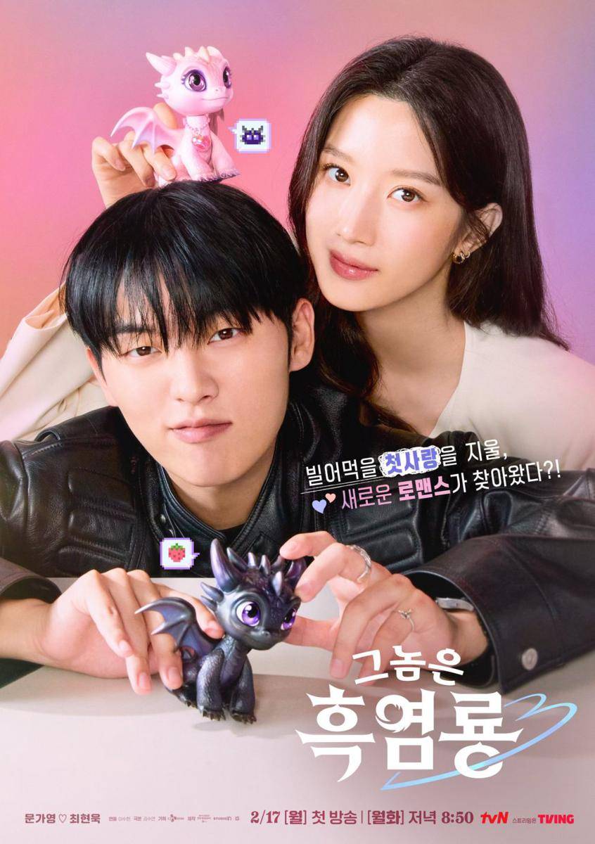 poster drama My Dearest Nemesis (dok. tvN/My Dearest Nemesis)