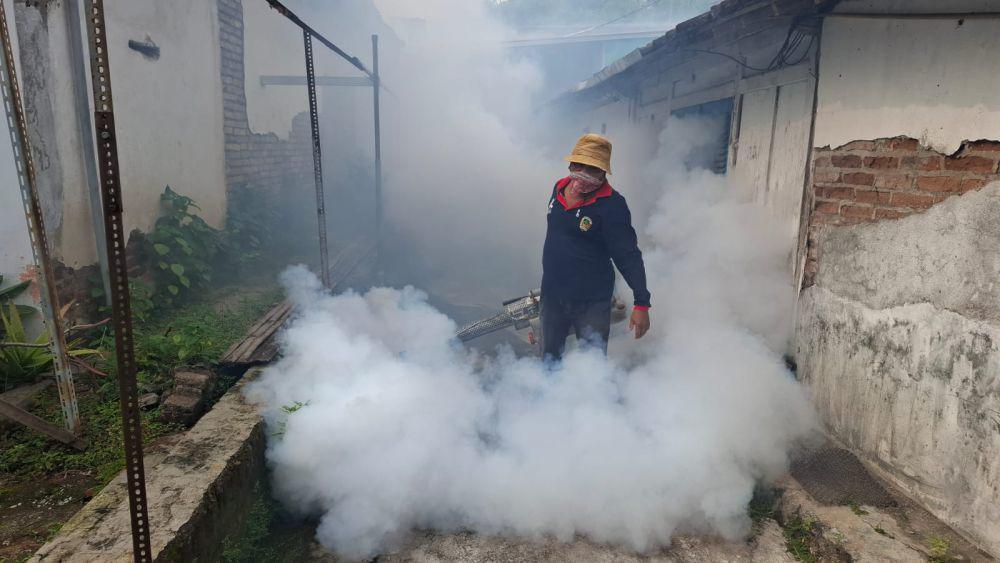 Kasus DBD di Kabupaten Madiun Melonjak, 13 Orang Terjangkit