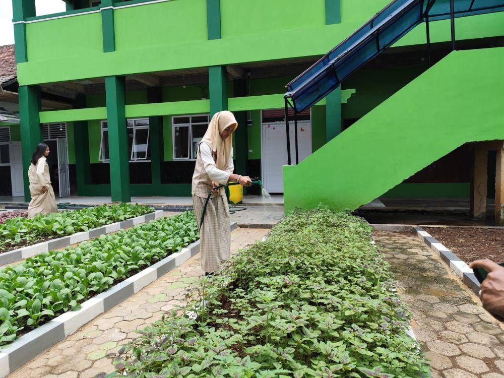 Wilayah belakang sekolah untuk menanam di SMA 10. (IDN Times/Muhaimin)
