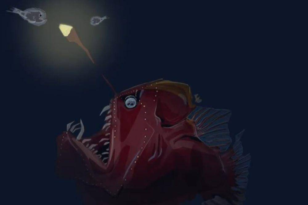 ilustrasi kemampuan bioluminescence anglerfish black seadevil (sanctuaries.noaa.gov/gallery/MBARI/Matt McIntosh/NOAA)