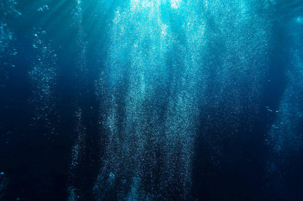 ilustrasi habitat anglerfish black seadevil di dasar laut, gelap dan minim cahaya (unsplash.com/Sarah Lee)