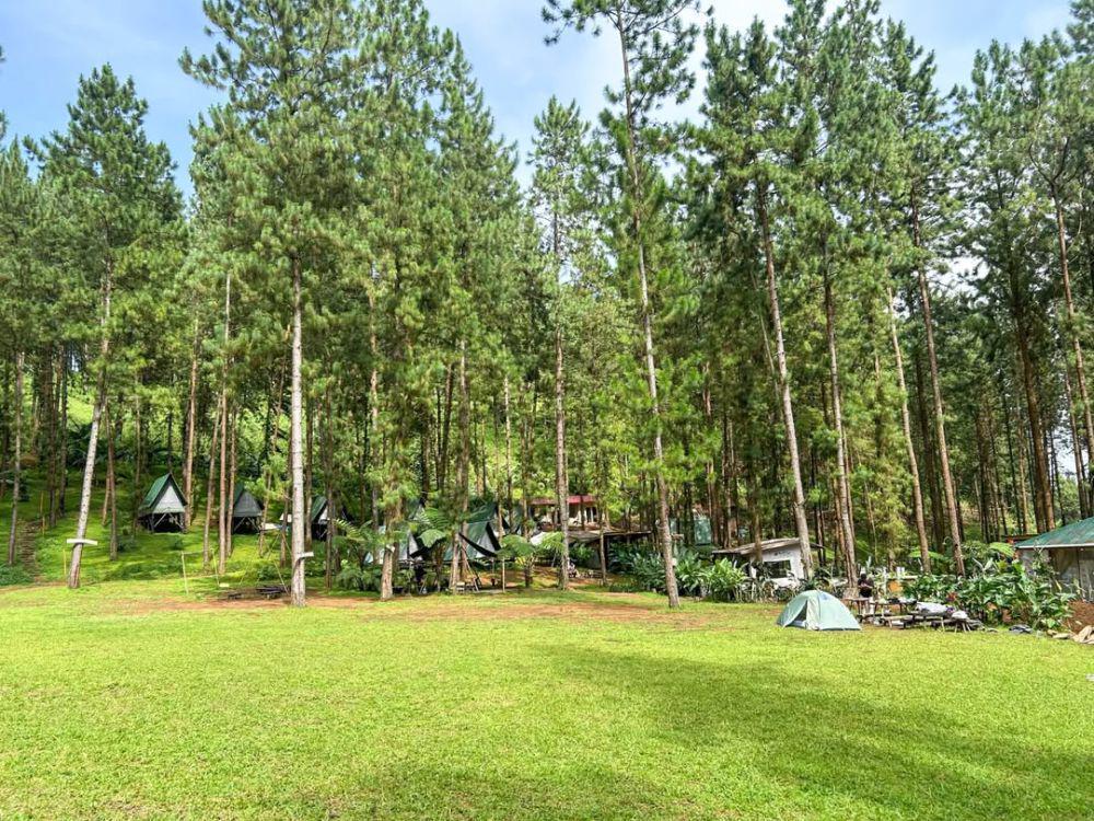 6 Aktivitas Seru di Rumah Angsa Guci Tegal, Bikin Liburan Berkesan!