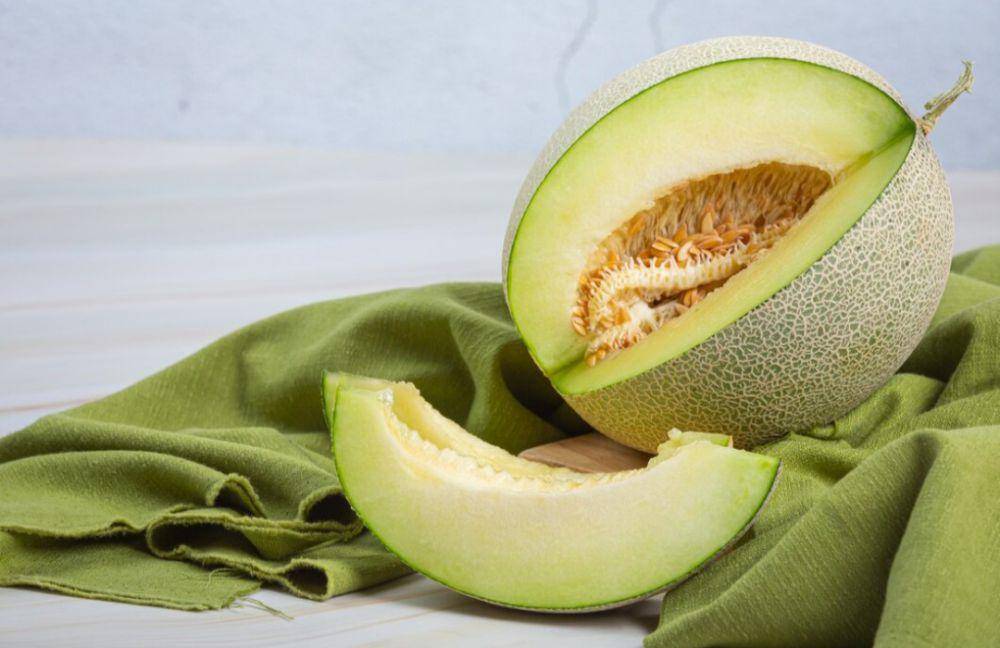 ilustrasi melon (freepik.com/jcomp)
