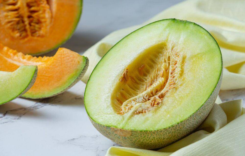 ilustrasi melon (freepik.com/jcomp)