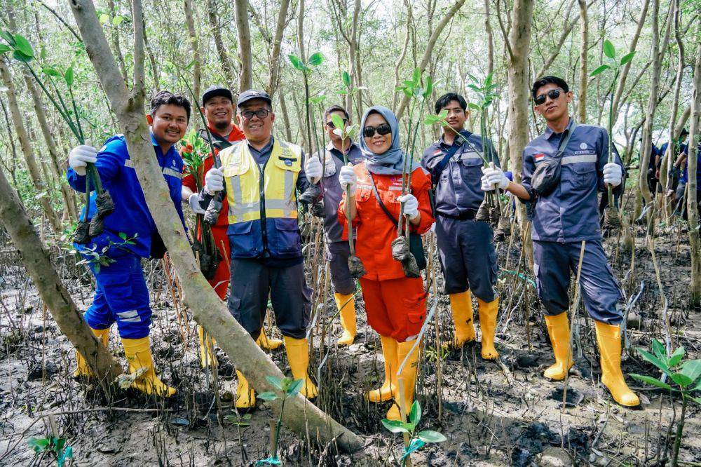PT PP (Persero) Tbk berkontribusi dalam pelestarian lingkungan dengan menanam 1.000 pohon mangrove di pesisir Tambakrejo. (dok. PTPP)