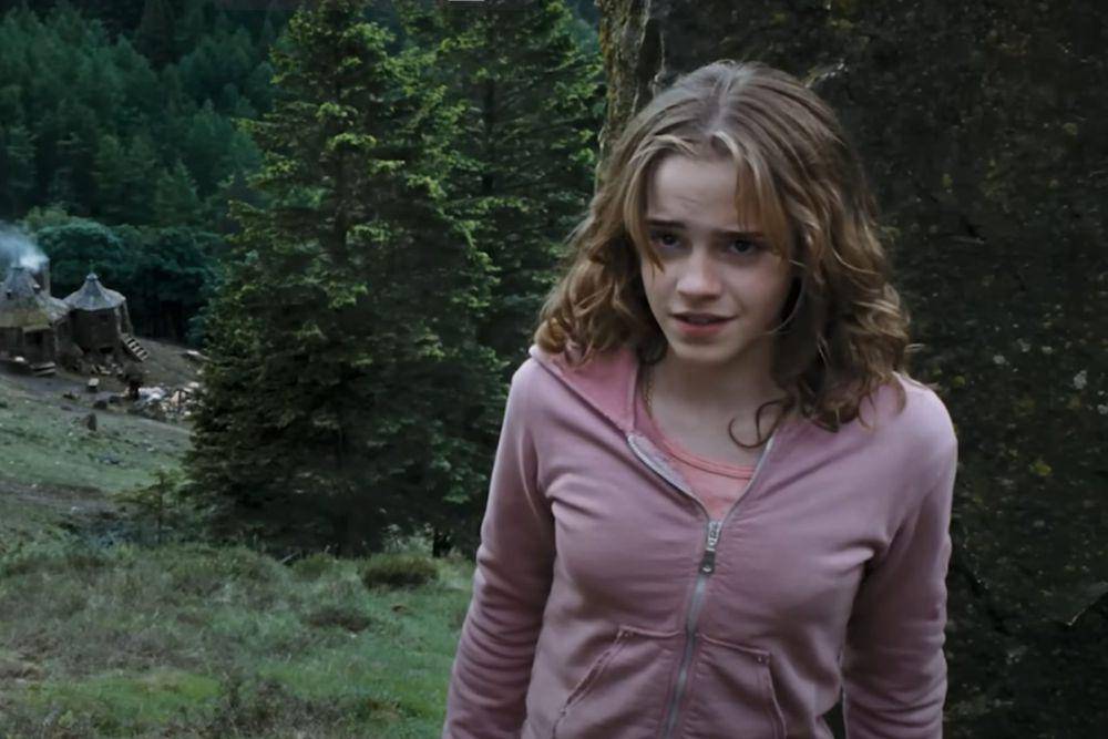 Hermione Granger (youtube.com/Harry Potter)