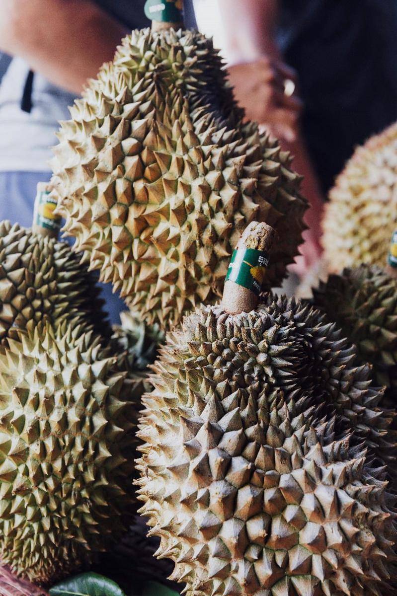 Ilustrasi Durian Trawas (Pexels/Kelly)