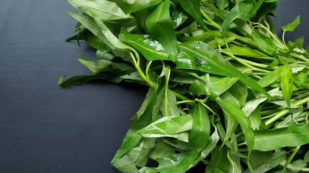 ilustrasi kangkung (freepik.com/MezaStudio)