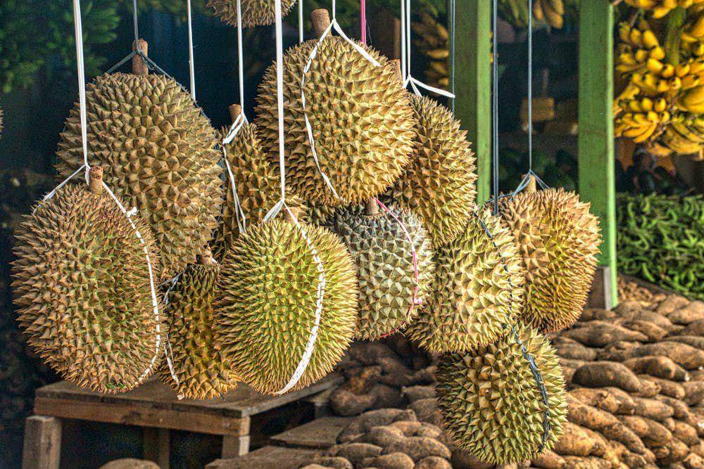ilustrasi durian (pexels.com/Tom Fisk)
