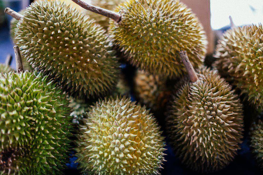 ilustrasi durian (pexels.com/vitalina)