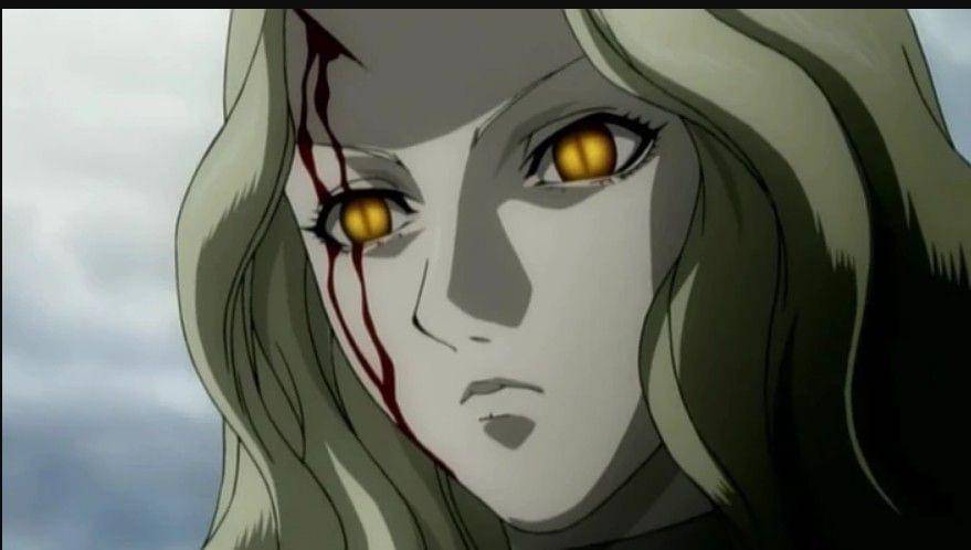 (Dok. Madhouse/Claymore)
