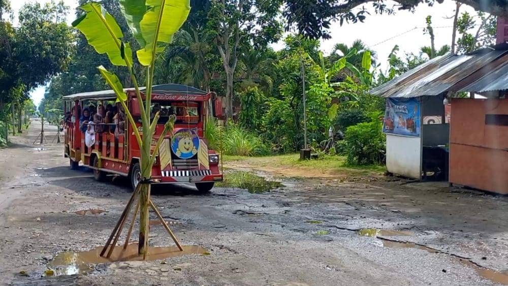 Akses jalan rusak di Kabupaten Trenggalek. IDN Times/ istimewa