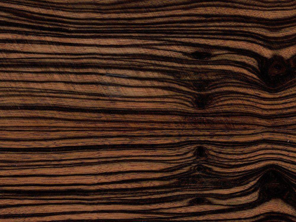 ilustrasi kayu eboni Makasar (wikipedia.org/Böhringer)