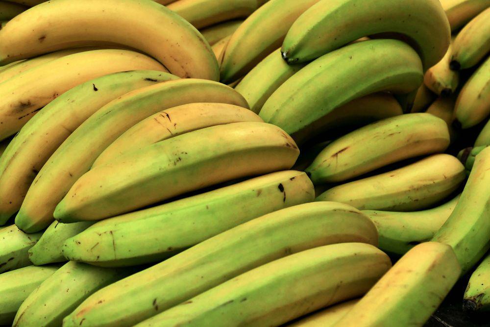 Pisang Raja Masuk Daftar Pisang Terbaik di Dunia 2025