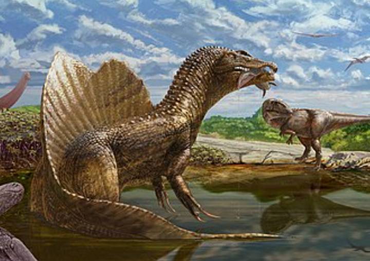 ilustrasi Spinosaurus (commons.wikimedia.org/Andrew McAfee)
