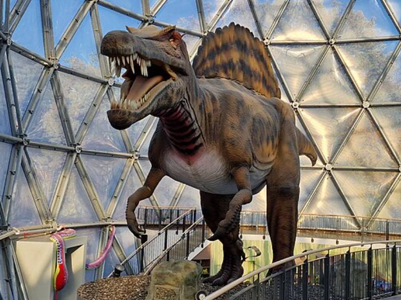 ilustrasi Spinosaurus (commons.wikimedia.org/Rigorius)