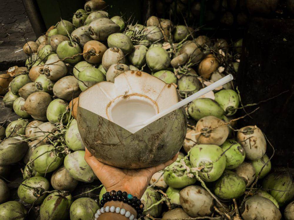 Ilustrasi kelapa muda (unsplash.com/Meimei Ismail)