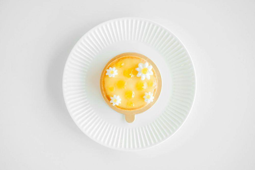 Ilustrasi puding timun suri (unsplash.com/anvision)
