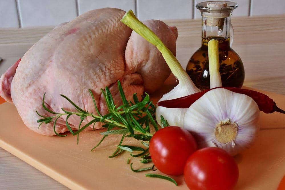 Potret ayam probiotik