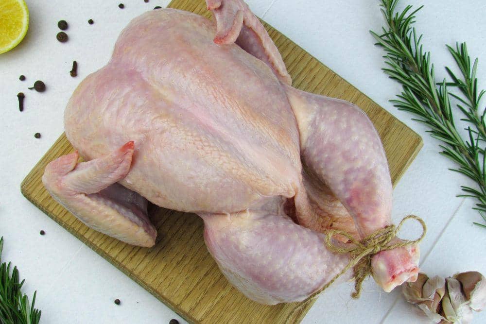 Potret ayam probiotik
