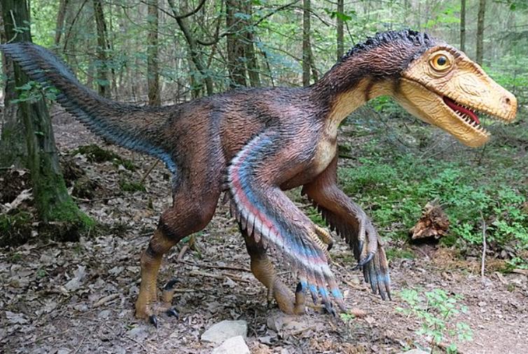 5 Fakta Velociraptor, si Pemburu Pintar di Zaman Dinosaurus
