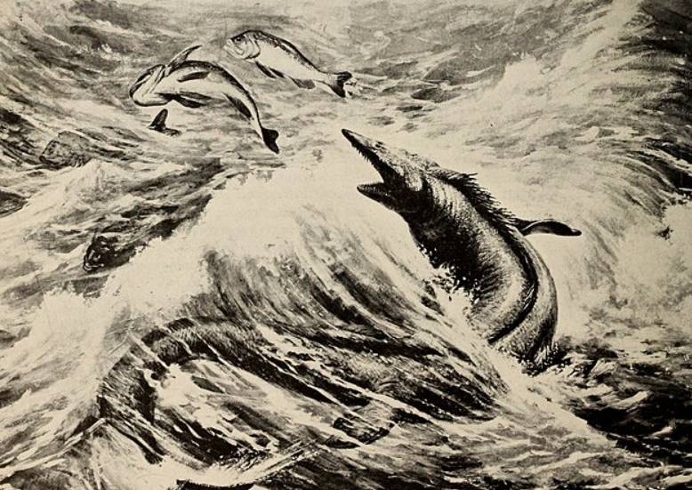 ilustrasi Mosasaurus (commons.wikimedia.org/Internet Archive Book Images)