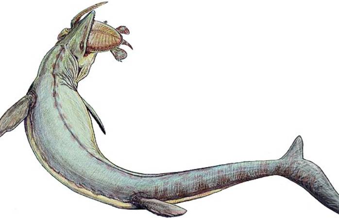 ilustrasi Mosasaurus (commons.wikimedia.org/Dmitry Bogdanov)