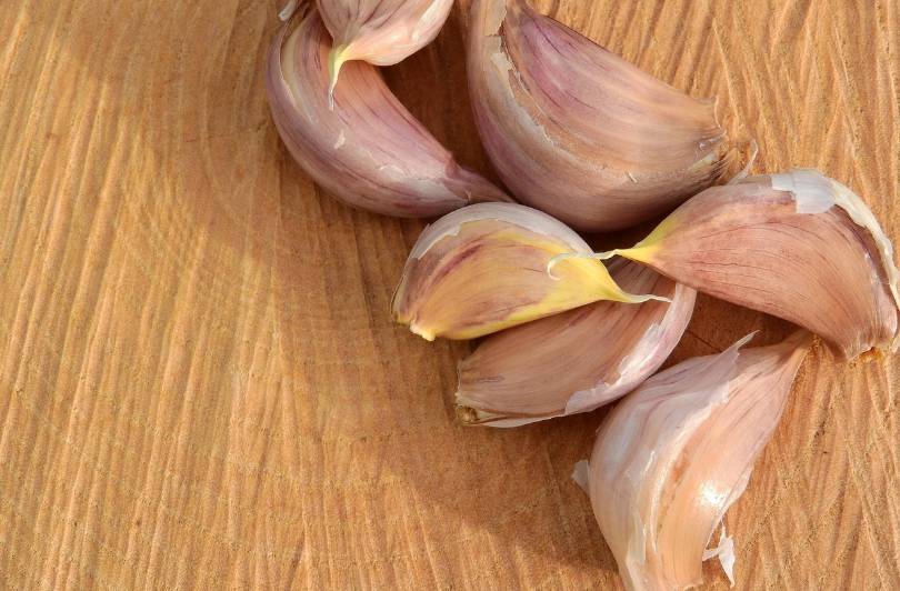 ilustrasi bawang putih (pixabay.com/MAKY_OREL)