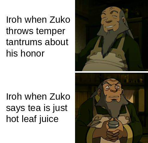 potret meme Iroh (reddit.com/user/trian_a_g)