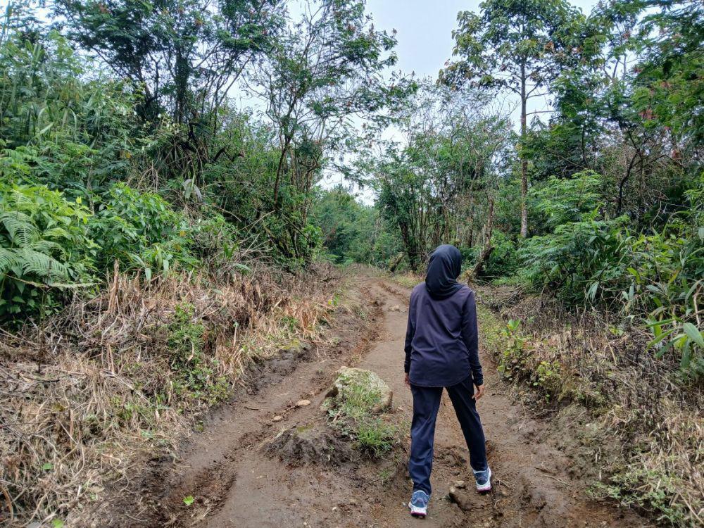 Provinsi Cirebon Raya Mengemuka Usai Moratorium Pemekaran Dibuka