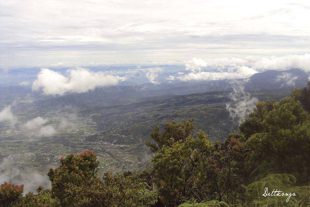 ilustrasi gunung talang (commons.wikimedia.org/Dettkonga)