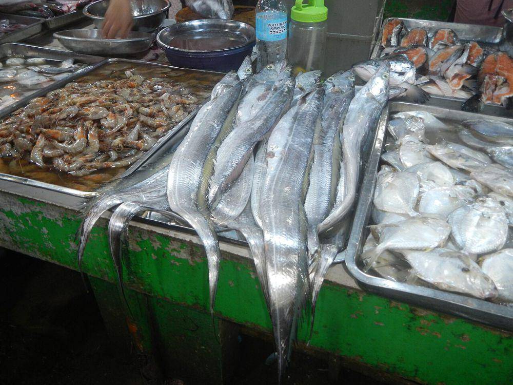 Ikan layur (commons.wikimedia.org/Judgefloro)