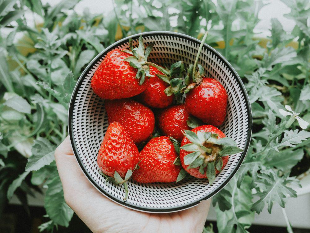 ilustrasi buah stroberi (unsplash.com/Anastasia Zhenina)