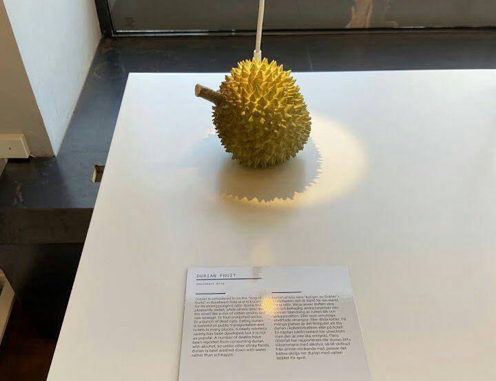 Disgusting Food Museum, Malmo, Swedia (google.com/maps/Lilla Habok)