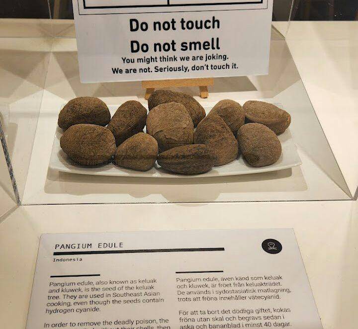 Disgusting Food Museum, Malmo, Swedia (google.com/maps/Mel Brousseau)