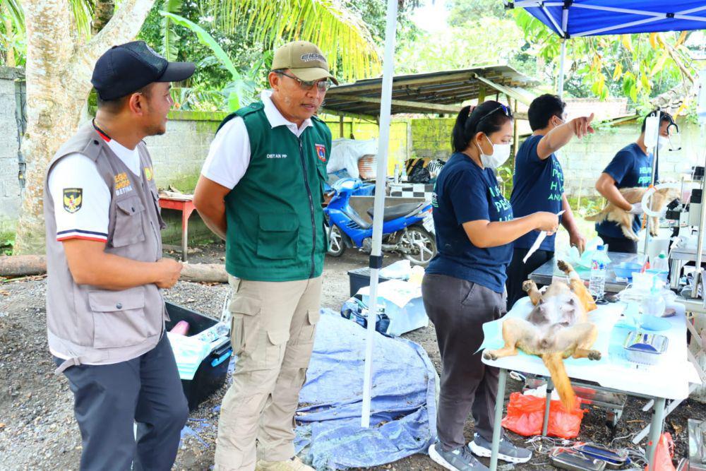 4 Desa dan 2 Kelurahan di Karangasem Masuk Zona Merah Rabies