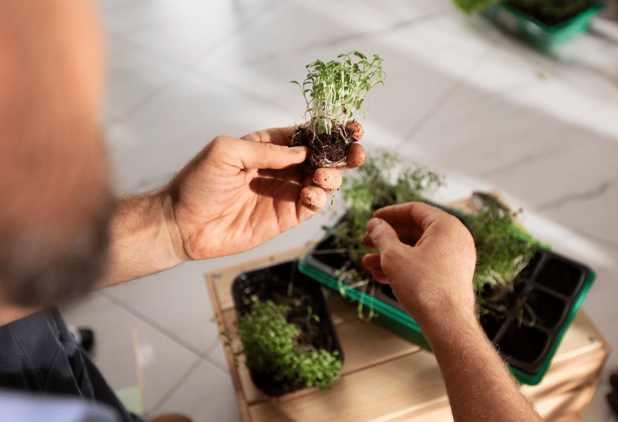 ilustrasi mengganti media tanam (freepik.com/freepik)