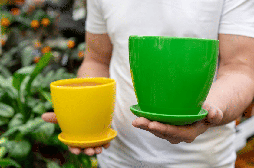 ilustrasi memilih pot (freepik.com/freepik)