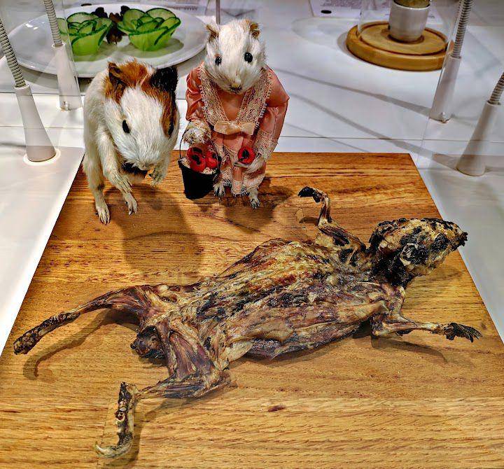 Disgusting Food Museum, Malmo, Swedia (google.com/maps/Paul Ciprian)