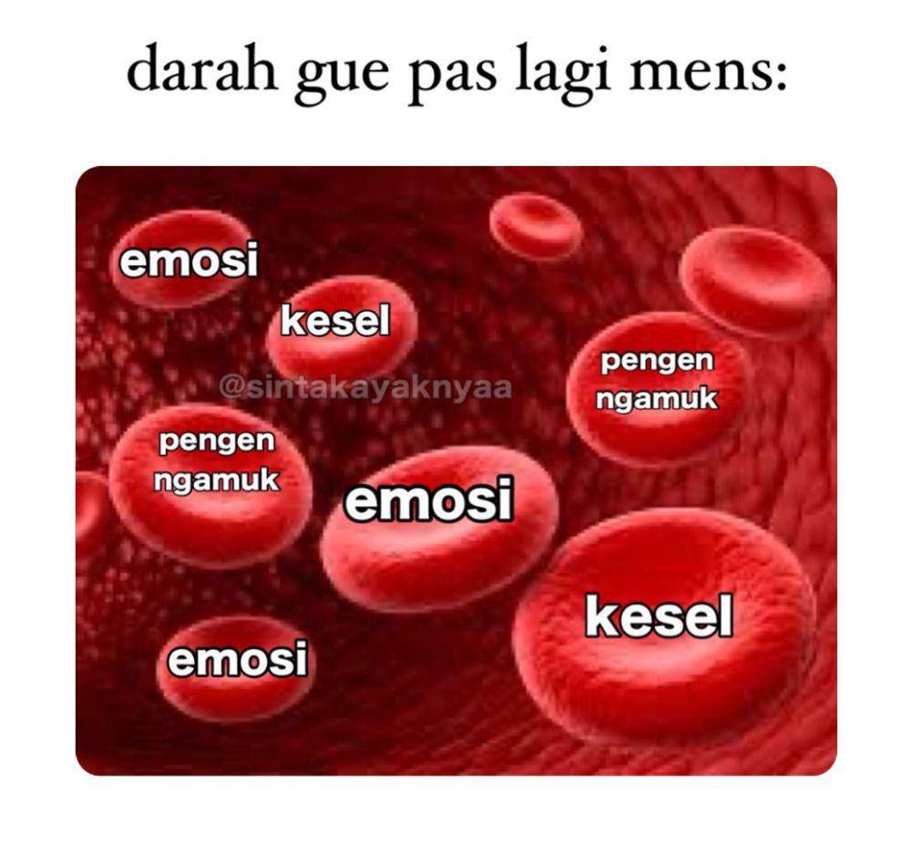 Meme cewek datang bulan (x.com/sintakayaknyaa)