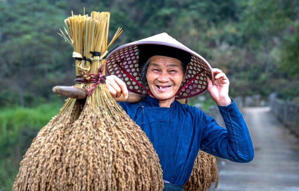 Ilustrasi nenek menggendong hasil panen padi (pexels.com/Quang Nguyen Vinh)