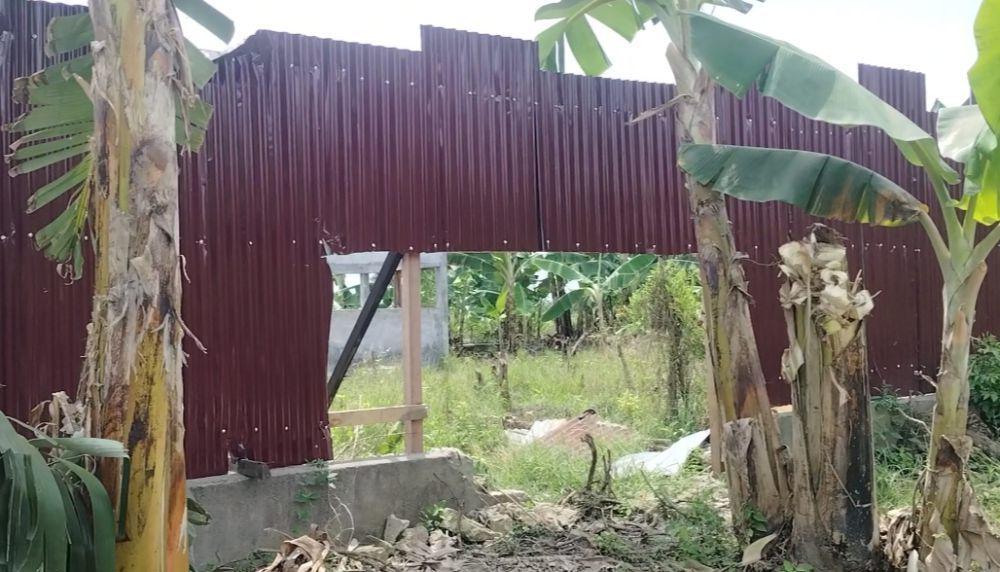 Pagar  yang Berdiri di Kawasan Hutan Lindung Pantai Labu Dibongkar