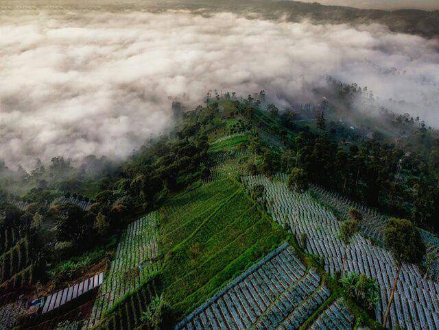 Gunung Putri, Jawa Barat (unsplash.com/sendi gibran)