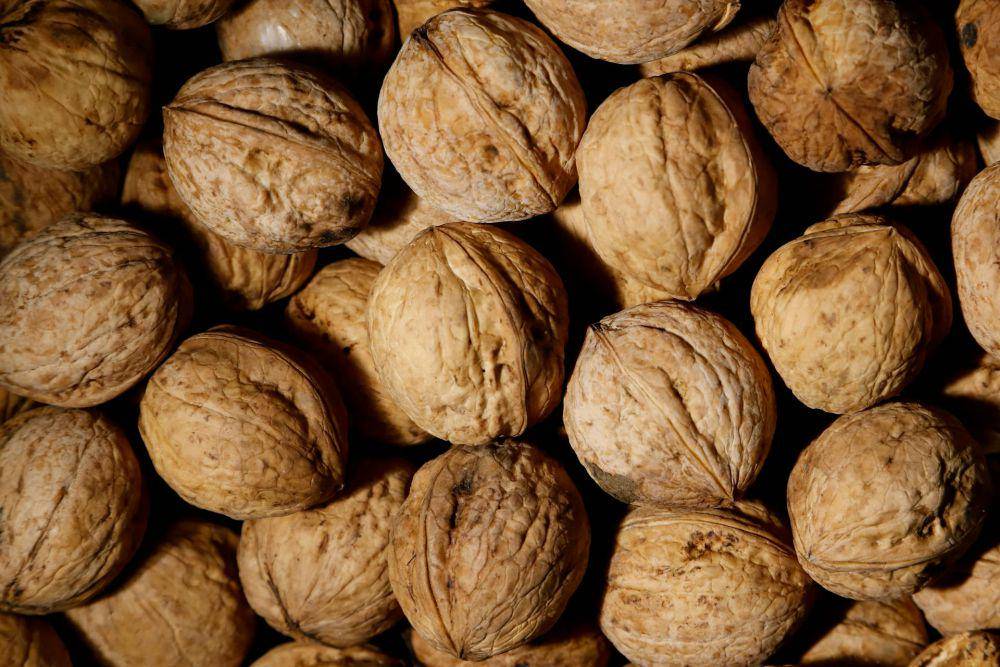 kacang kenari (pexels.com/YUSUF ARSLAN)