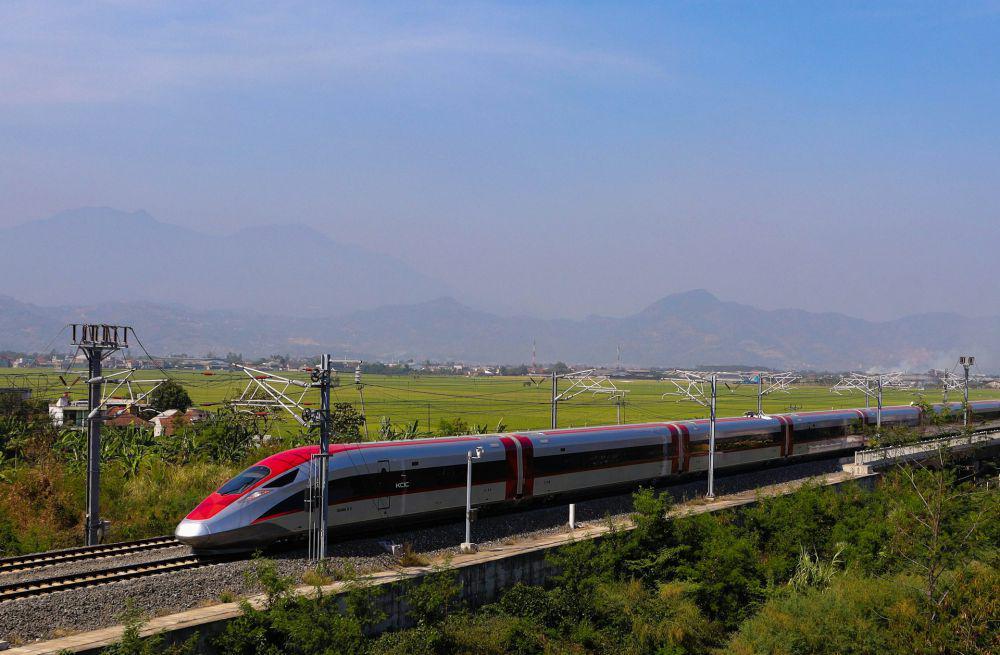 Perbedaan Tiket First Class dan Business Class Kereta Whoosh