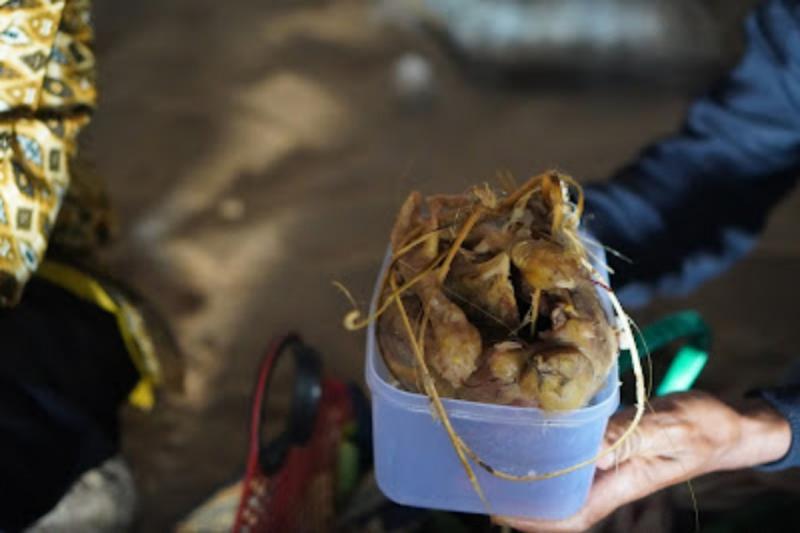 Filosofi Ayam Ingkung sebagai Hidangan Tradisi Nyadran