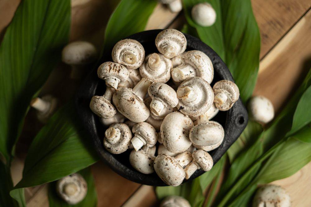 5 Kesalahan Memasak Jamur Kancing yang Bikin Pahit