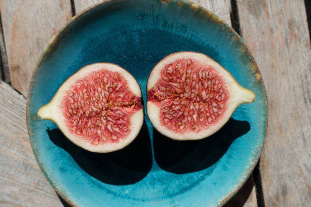 ilustrasi buah ara (pexels.com/Pixabay)